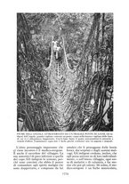 giornale/PUV0111543/1933/N.25-30/00000052