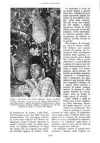 giornale/PUV0111543/1933/N.25-30/00000196