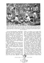giornale/PUV0111543/1933/N.25-30/00000462