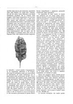giornale/PUV0111665/1934/unico/00000007
