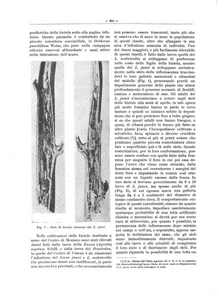 L'industria saccarifera italiana Bollettino mensile del Consorzio nazionale produttori zucchero e dell'Associazione italiana delle industrie dello zucchero e dell'alcool