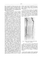 giornale/PUV0111665/1934/unico/00000611