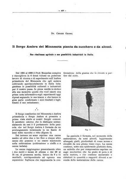 L'industria saccarifera italiana Bollettino mensile del Consorzio nazionale produttori zucchero e dell'Associazione italiana delle industrie dello zucchero e dell'alcool