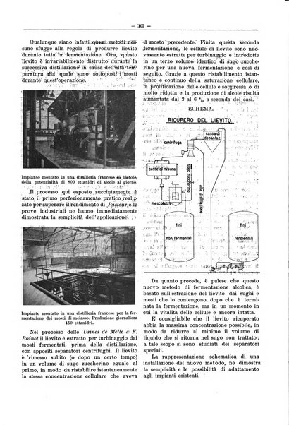 L'industria saccarifera italiana Bollettino mensile del Consorzio nazionale produttori zucchero e dell'Associazione italiana delle industrie dello zucchero e dell'alcool