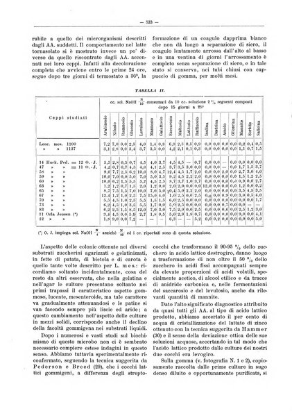 L'industria saccarifera italiana Bollettino mensile del Consorzio nazionale produttori zucchero e dell'Associazione italiana delle industrie dello zucchero e dell'alcool