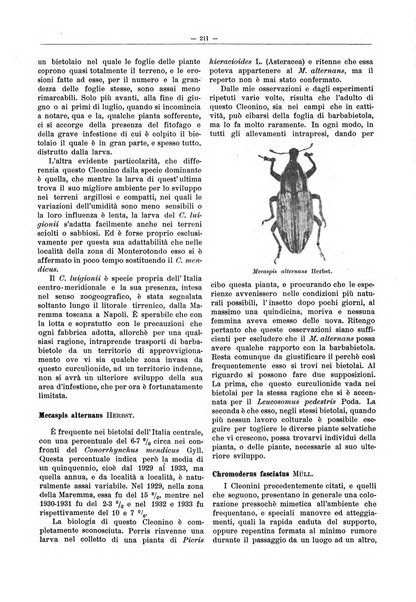 L'industria saccarifera italiana Bollettino mensile del Consorzio nazionale produttori zucchero e dell'Associazione italiana delle industrie dello zucchero e dell'alcool