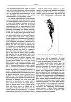 giornale/PUV0111665/1937/unico/00000243