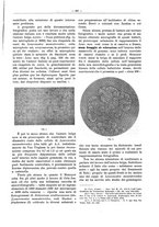 giornale/PUV0111665/1937/unico/00000623