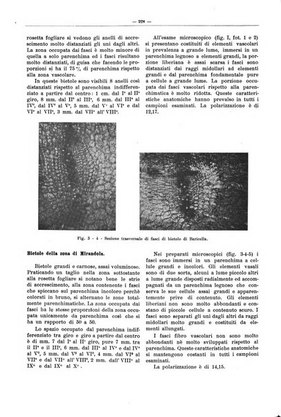 L'industria saccarifera italiana Bollettino mensile del Consorzio nazionale produttori zucchero e dell'Associazione italiana delle industrie dello zucchero e dell'alcool