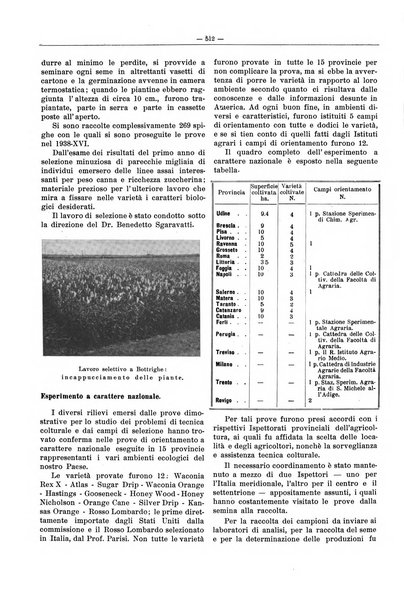 L'industria saccarifera italiana Bollettino mensile del Consorzio nazionale produttori zucchero e dell'Associazione italiana delle industrie dello zucchero e dell'alcool