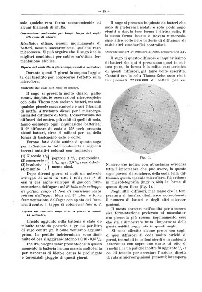 L'industria saccarifera italiana Bollettino mensile del Consorzio nazionale produttori zucchero e dell'Associazione italiana delle industrie dello zucchero e dell'alcool