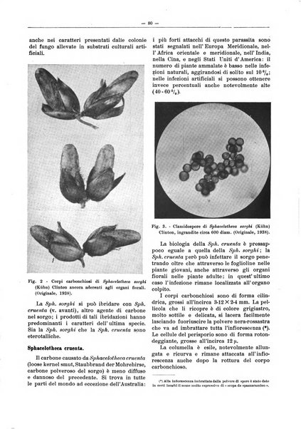 L'industria saccarifera italiana Bollettino mensile del Consorzio nazionale produttori zucchero e dell'Associazione italiana delle industrie dello zucchero e dell'alcool