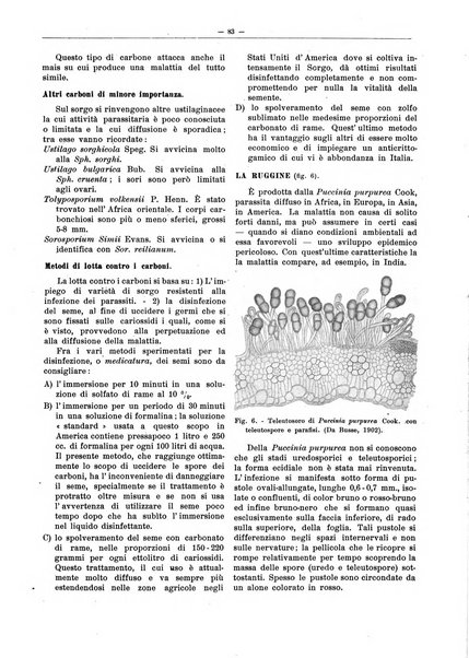 L'industria saccarifera italiana Bollettino mensile del Consorzio nazionale produttori zucchero e dell'Associazione italiana delle industrie dello zucchero e dell'alcool