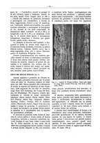 giornale/PUV0111665/1939/unico/00000095