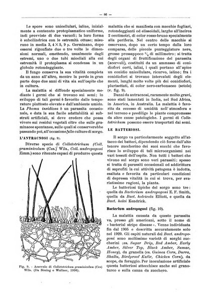 L'industria saccarifera italiana Bollettino mensile del Consorzio nazionale produttori zucchero e dell'Associazione italiana delle industrie dello zucchero e dell'alcool