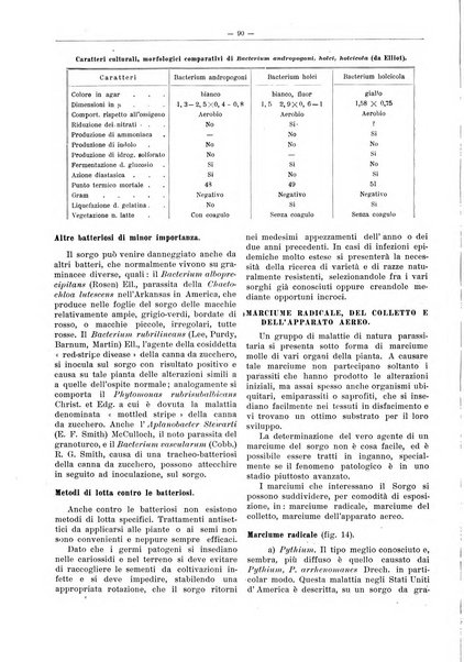 L'industria saccarifera italiana Bollettino mensile del Consorzio nazionale produttori zucchero e dell'Associazione italiana delle industrie dello zucchero e dell'alcool