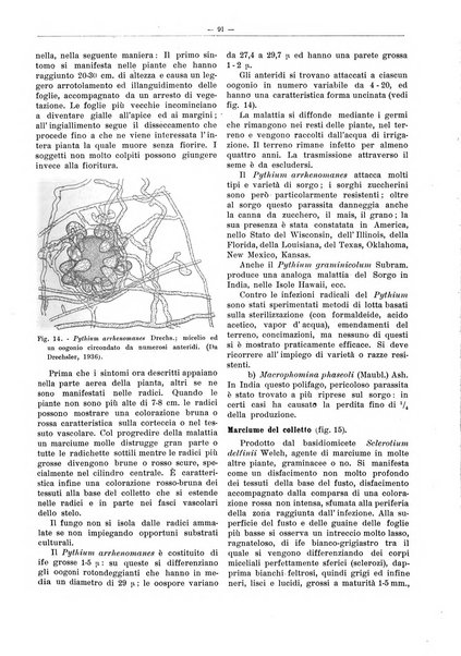 L'industria saccarifera italiana Bollettino mensile del Consorzio nazionale produttori zucchero e dell'Associazione italiana delle industrie dello zucchero e dell'alcool