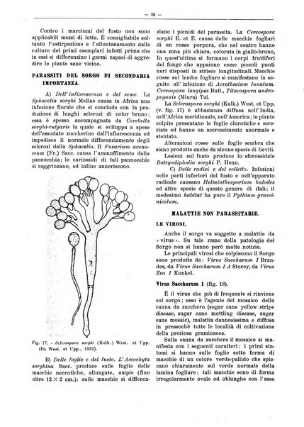 L'industria saccarifera italiana Bollettino mensile del Consorzio nazionale produttori zucchero e dell'Associazione italiana delle industrie dello zucchero e dell'alcool