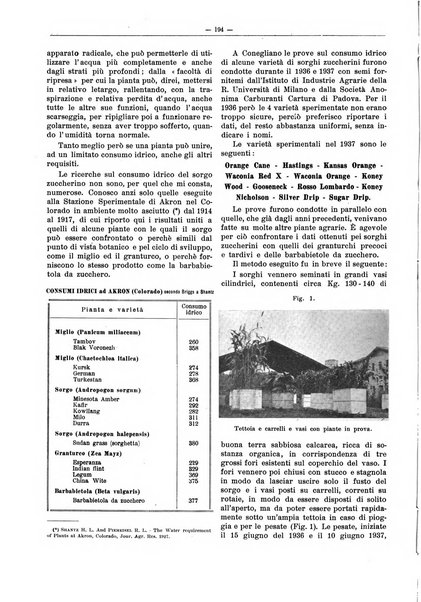 L'industria saccarifera italiana Bollettino mensile del Consorzio nazionale produttori zucchero e dell'Associazione italiana delle industrie dello zucchero e dell'alcool