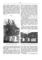 giornale/PUV0111665/1939/unico/00000217