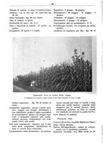 giornale/PUV0111665/1939/unico/00000428