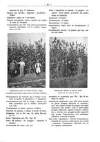 giornale/PUV0111665/1939/unico/00000429