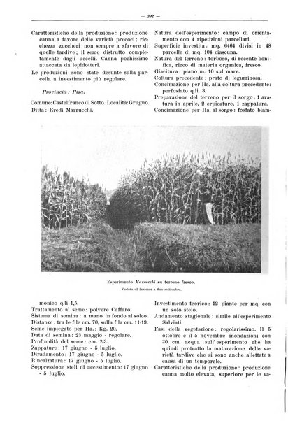 L'industria saccarifera italiana Bollettino mensile del Consorzio nazionale produttori zucchero e dell'Associazione italiana delle industrie dello zucchero e dell'alcool