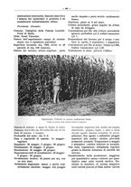 giornale/PUV0111665/1939/unico/00000433