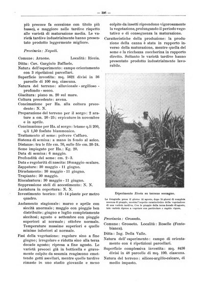 L'industria saccarifera italiana Bollettino mensile del Consorzio nazionale produttori zucchero e dell'Associazione italiana delle industrie dello zucchero e dell'alcool