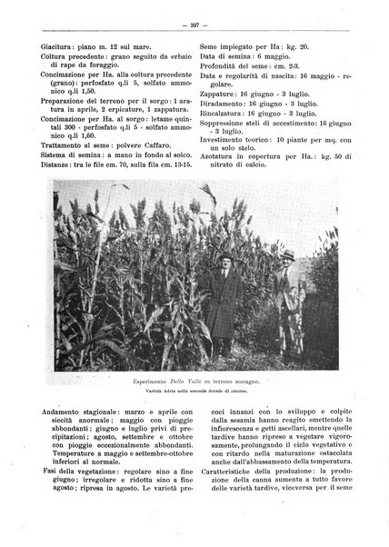 L'industria saccarifera italiana Bollettino mensile del Consorzio nazionale produttori zucchero e dell'Associazione italiana delle industrie dello zucchero e dell'alcool