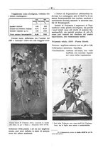 giornale/PUV0111665/1940/unico/00000110