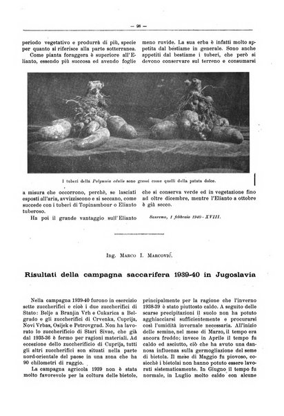 L'industria saccarifera italiana Bollettino mensile del Consorzio nazionale produttori zucchero e dell'Associazione italiana delle industrie dello zucchero e dell'alcool