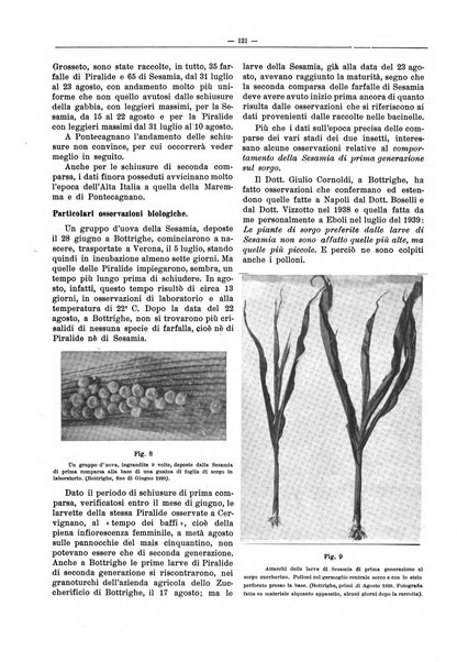 L'industria saccarifera italiana Bollettino mensile del Consorzio nazionale produttori zucchero e dell'Associazione italiana delle industrie dello zucchero e dell'alcool