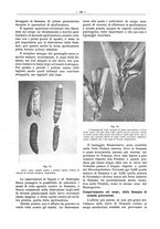 giornale/PUV0111665/1940/unico/00000141