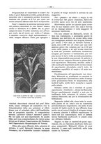 giornale/PUV0111665/1940/unico/00000191