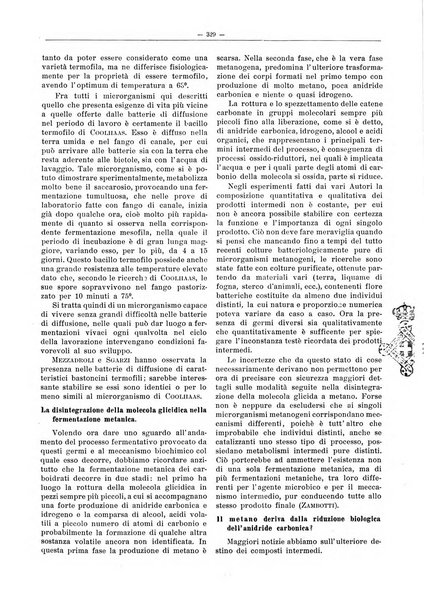 L'industria saccarifera italiana Bollettino mensile del Consorzio nazionale produttori zucchero e dell'Associazione italiana delle industrie dello zucchero e dell'alcool