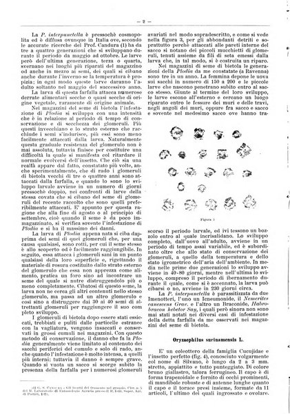 L'industria saccarifera italiana Bollettino mensile del Consorzio nazionale produttori zucchero e dell'Associazione italiana delle industrie dello zucchero e dell'alcool