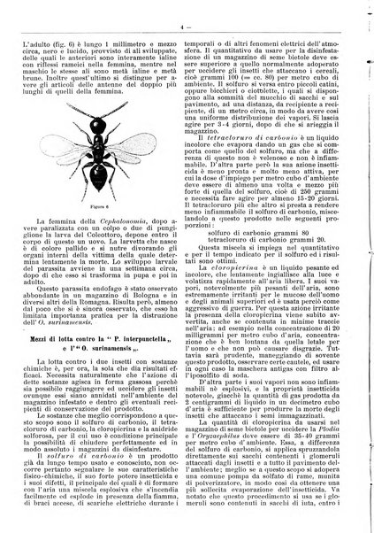 L'industria saccarifera italiana Bollettino mensile del Consorzio nazionale produttori zucchero e dell'Associazione italiana delle industrie dello zucchero e dell'alcool