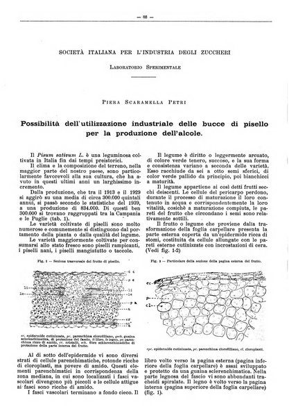 L'industria saccarifera italiana Bollettino mensile del Consorzio nazionale produttori zucchero e dell'Associazione italiana delle industrie dello zucchero e dell'alcool