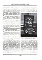 giornale/PUV0112037/1928/unico/00000107