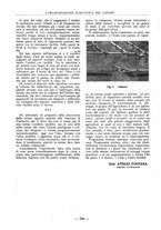 giornale/PUV0112037/1928/unico/00000634