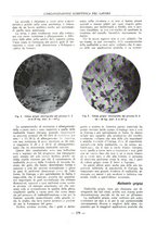 giornale/PUV0112037/1932/unico/00000627