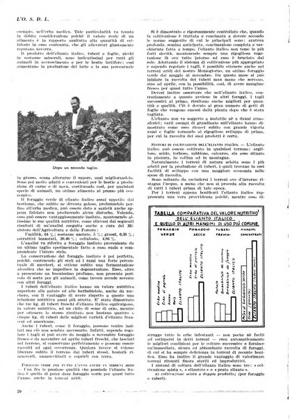 L'organizzazione scientifica del lavoro rivista dell'Ente nazionale italiano per l'organizzazione scientifica del lavoro