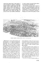 giornale/PUV0112037/1938/unico/00000105