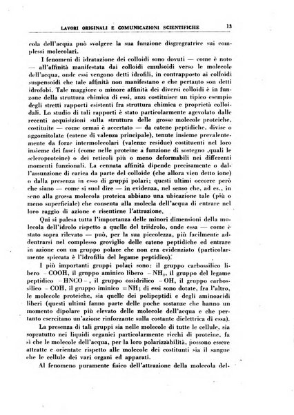 Rivista di idroclimatologia, talassologia e terapia fisica organo ufficiale dell'Associazione medica italiana di idroclimatologia talassologia e terapia fisica