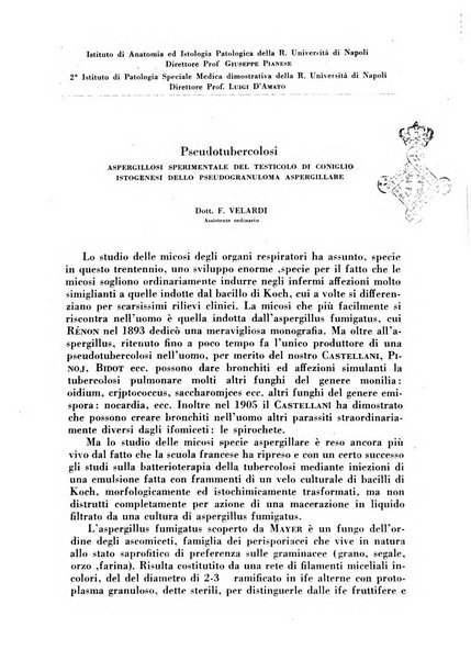 Rivista di patologia e clinica della tubercolosi organo ufficiale della Società italiana fascista di studi scientifici sulla tubercolosi