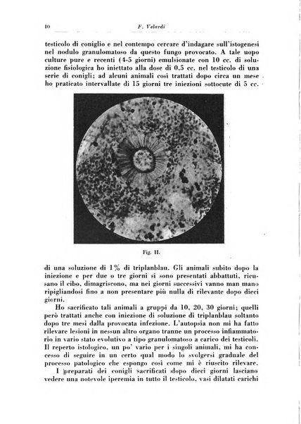 Rivista di patologia e clinica della tubercolosi organo ufficiale della Società italiana fascista di studi scientifici sulla tubercolosi