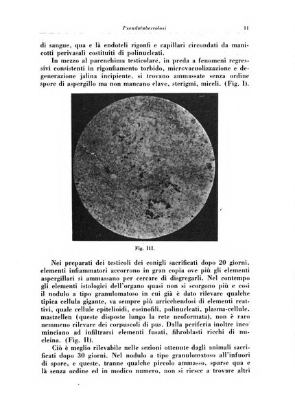 Rivista di patologia e clinica della tubercolosi organo ufficiale della Società italiana fascista di studi scientifici sulla tubercolosi