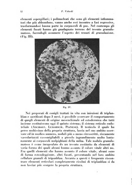 Rivista di patologia e clinica della tubercolosi organo ufficiale della Società italiana fascista di studi scientifici sulla tubercolosi