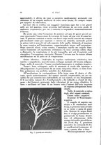 giornale/PUV0112329/1928/unico/00000108